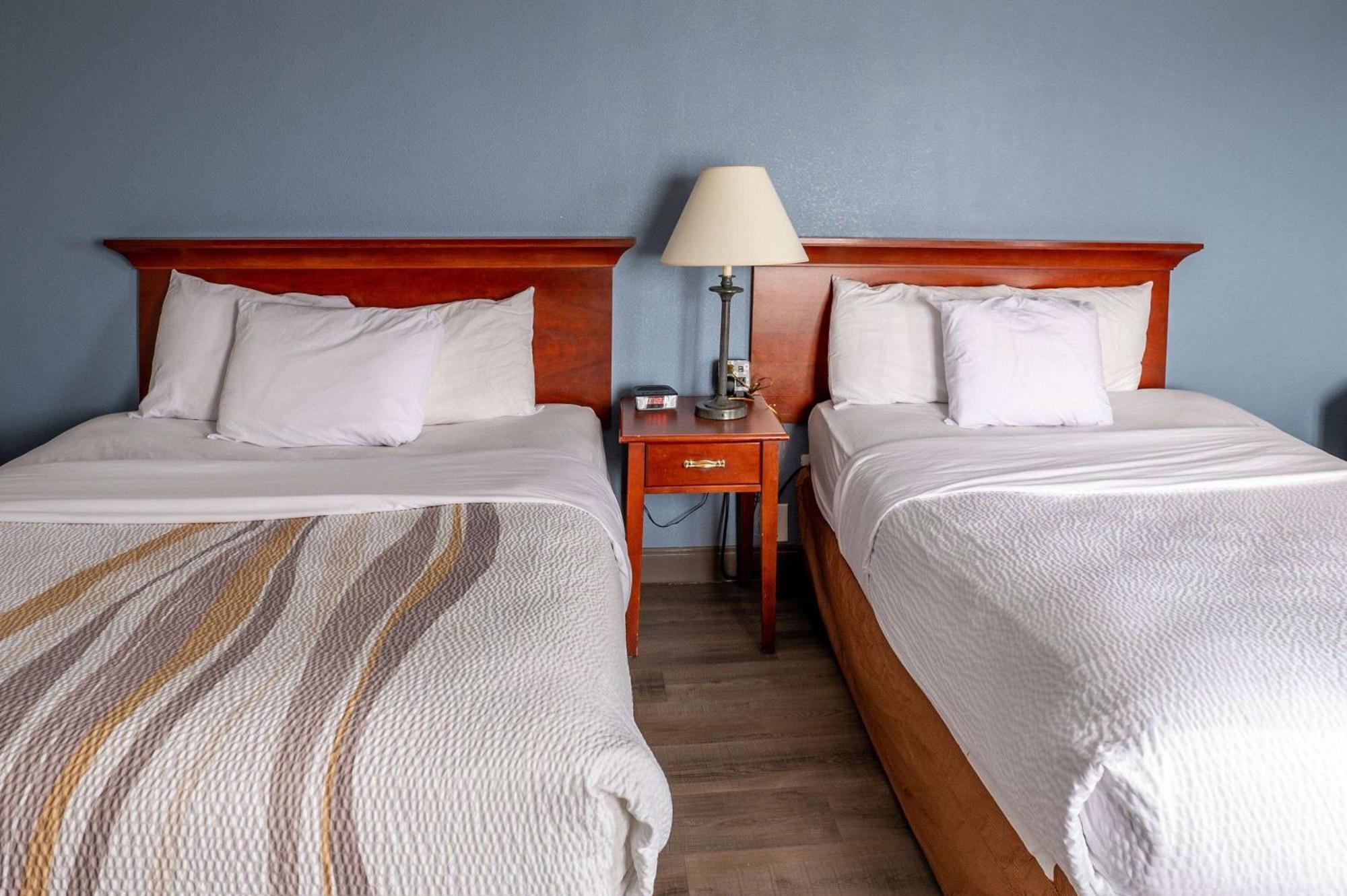 La Quinta By Wyndham New Haven Hotell Eksteriør bilde